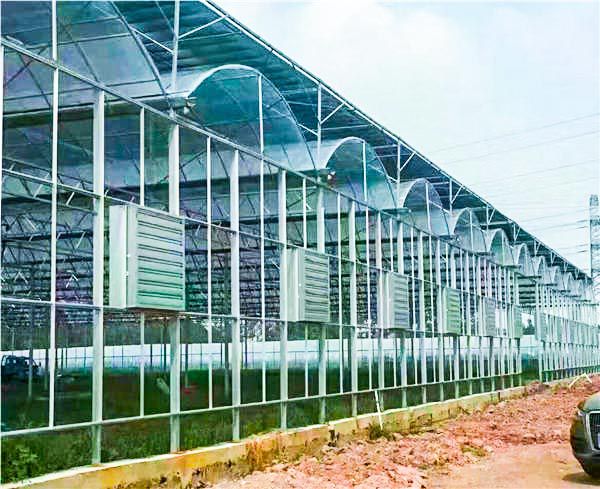 生態(tài)園藝溫室